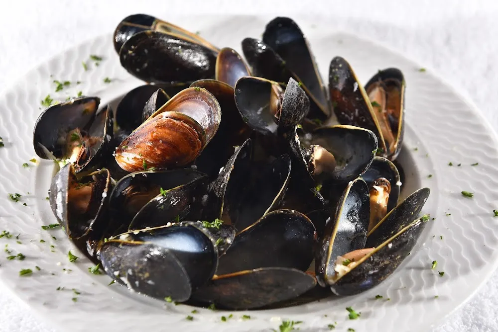 Mussels